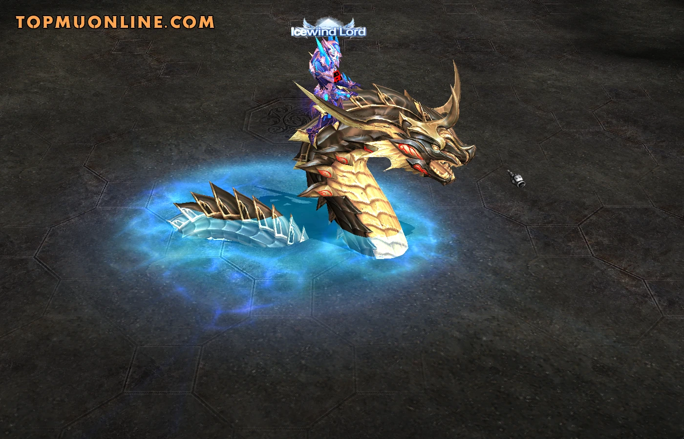 Rare Dragon pet in MU Online Season 21 – movement speed and damage bonus